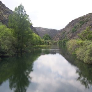Río Lozoya