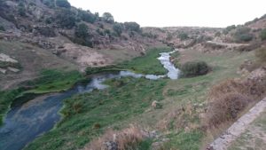 Senderismo por el Río Manzanares con El Caminante y su Sombra