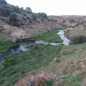Senderismo por el Río Manzanares con El Caminante y su Sombra